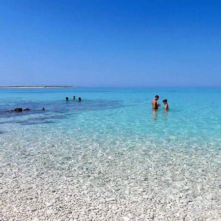 Ana Daire Zaglav Dış mekan fotoğraf